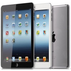 iPad mini 2 (8)